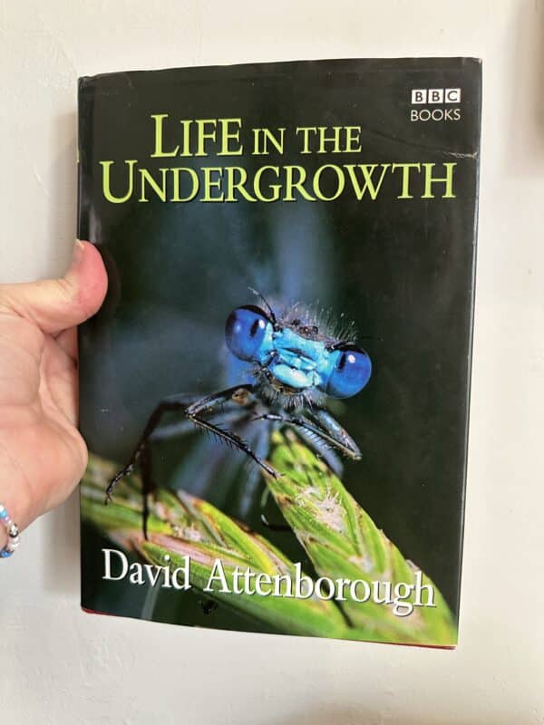 Life in the Undergrowth  by David Attenborough